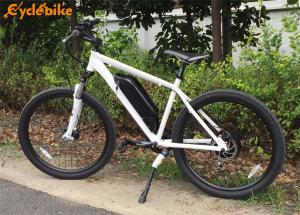 China Battery Powered Elec City Bike 500w For Ladies Steel Painting Mudguard wholesale