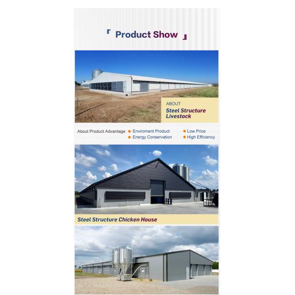 Modern Lightweight Metal Frame Building Poultry Farm Structure