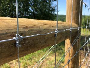 China Deer Fixed Knot Fence 1.2m Hinge Joint Cattle Wire Mesh Field Fence wholesale
