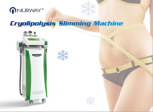 China 2016 hottest !!! cryolipolysis slimming machine, 3 cooling system, fat freezing treatment, made in China, hot in USA wholesale