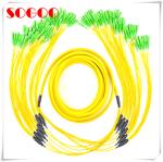 Network Bunchy Type Breakout Armored Fiber Cable