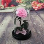 Hot sale Natural Fresh flower rose in big long glass dome Home Decoration and