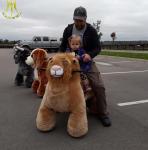 Hansel Zippy Animal Rides Coin Operated Zoo Animal Scooter Animal Rides