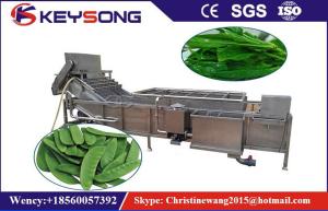 China High Pressure Fruit And Vegetable Processing Machinery Washing Equipment Energy Saving wholesale