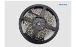 LED Strip 4 in 1 RGBW 5050 DC12V Flexible LED Light RGB+White RGB+Warm White 4