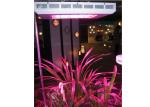 Garden LED Grow Lights 300W - 2000W Fast Heat Dissipation With Internal Cooling