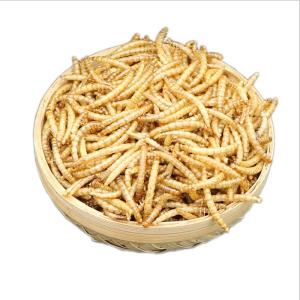 China FDA GMP+ Natural Dried Mealworms Fish Food Chickens Birds wholesale