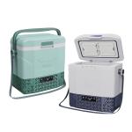 Vehicle Camping Refrigerator 12v Freezer Fridge with Panel and Compressor