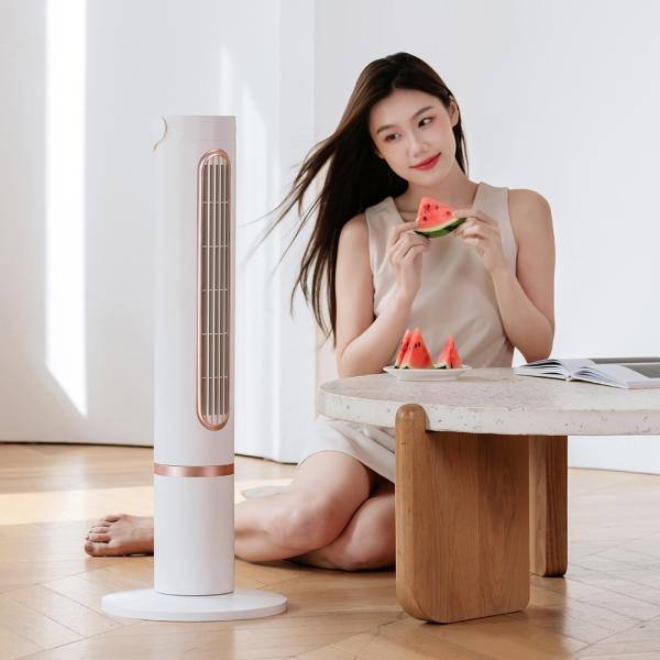 Bladeless Cooling Tower Fan Five Speeds Polymer Battery Air Circulator Cooling