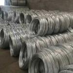 Wire Galvanised Wire 2.5mm Galvanised Wire Mesh Price Galvanised Hot Sale Soft