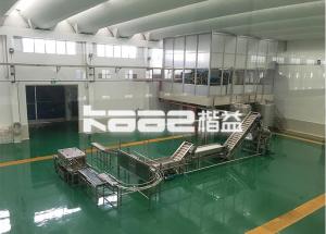 China Industrial Berry Juicer Machine Blueberry Strawberry Fruit Juice And Pulp Paste Processing Production Line on sale