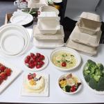 Bagasse Sugarcane Food Container