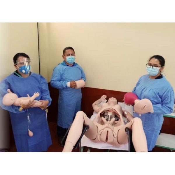 Urinary System Shows Bladder Prostate And Right Kidney For Training
