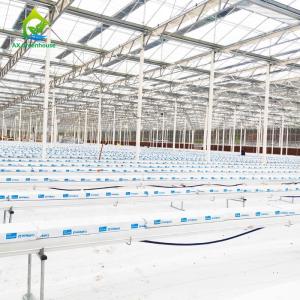 China 5.8m Length Commercial Aquaponics System Soilless Culture Fish And Plant System wholesale