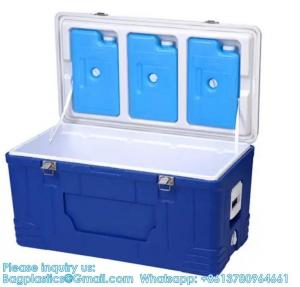 China Custom Medical Organ Transport Portable Cooler Wine Beer Styrofoam Ice Chest Thermal Bag Food Large Cooler Box wholesale