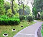 Solar Powered Landscape Light for Colorful Outdoor Decorative Lighting in Garden