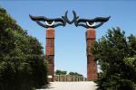 Decorative Cast Bronze Sculpture , Eagle Eye Contemporary Bronze Sculpture