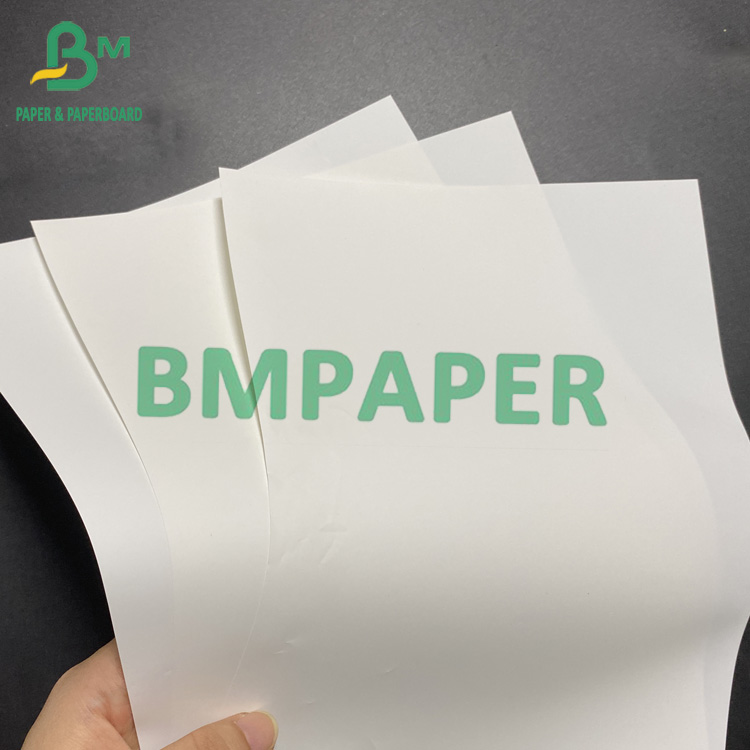 Polypropylene Synthetic Paper For 2 Sides Laser Printing 13"X19" Thickness 14pt 12pt 10pt 8pt 