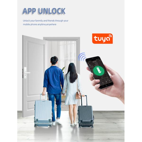 Keyless Commercial Smart Lock SDK Network Home Assistant Door Lock