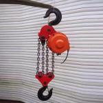 Professional Simple Electric Lifting Hoist for Light Tank Lifting Construction
