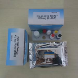 China One Step 96pcs Hepatitis B Rapid Test Kit Medical Diagnostic wholesale