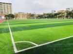 Artificial Grass Sports Flooring For Soccer Football Ground 50mm