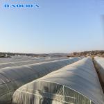 Classic Standard Greenhouse Tunnel Plastic Sheet Covering Vegetable Growth