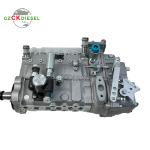 Fuel Injection Pump 13053063 13053062 13022616 B6AD548G-R BH6PN120R For WP4 WP6