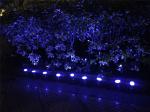 Smart Outdoor Mini Garden Spotlights