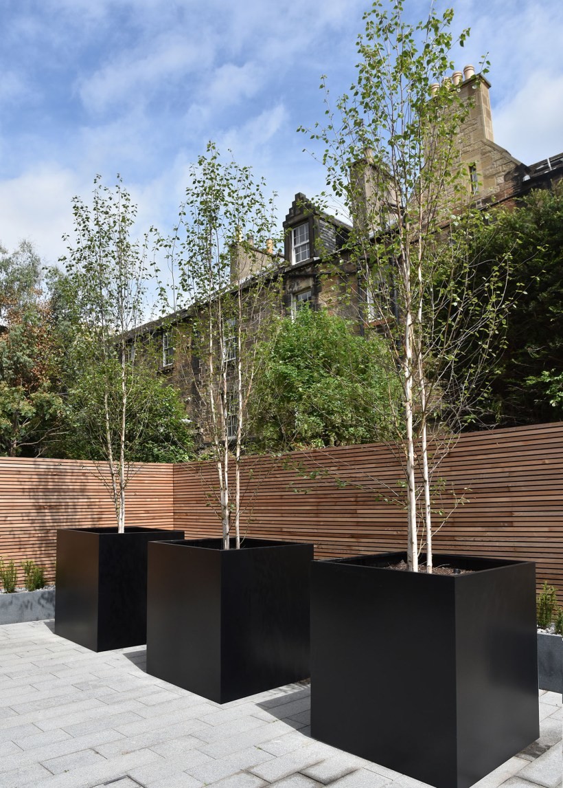 Rectangular Modern Fiberglass Planters Customized 30-Day Crafted Timeless