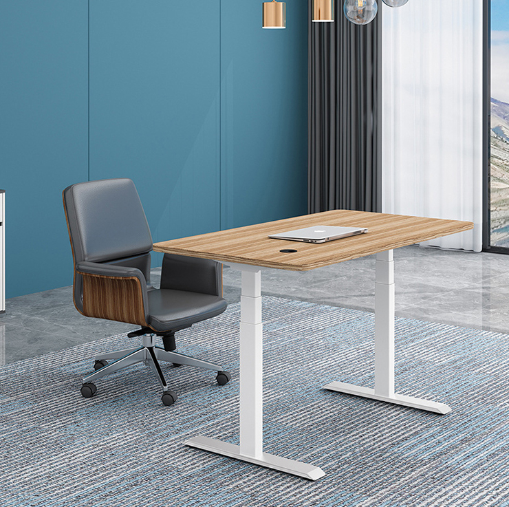 Commercial Custom Dual Motor Electric Height Adjustable Lift Coffee Table for Smart Office