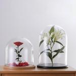 Customized Glass Homeware Dome Display Handblown Vintage Victorian Style