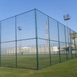 High Strength Green Wire Mesh Fence 50*100mm PVC Coated Iron Wire Material