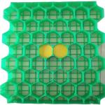38mm 48mm 68mm HDPE Plastic Grass Paver Grid for Long-lasting Parking and