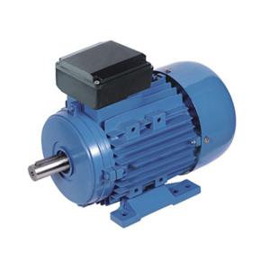 China Capacitor Run Single Phase Induction Motor 3kw 4hp 2800rpm 2 Pole MY Series MY100L-2 wholesale