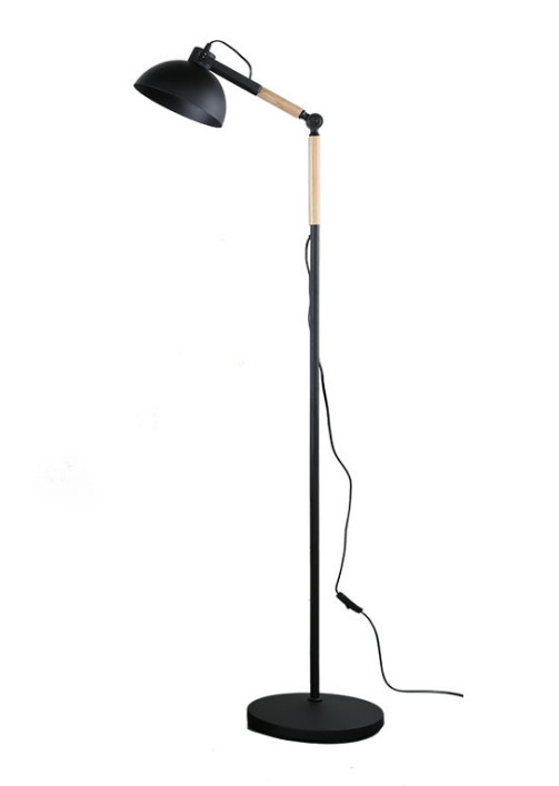1500MM height Modern Floor Lamp With Painted Metal Head
