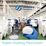 Factory Sale Paper Mill Water Treatment Polyacrylamide PAM Flocculant