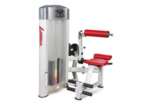 China Commercial Grade Gym Life Fitness Strength Equipment For Back Extension wholesale
