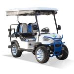 OEM Chinese 2 Passenger Electric Vehicle Golf Cart 30mph Low Speed With CE
