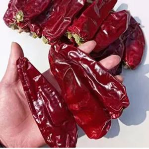 China Vacuum Sealed Packaging For Sweet Paprika Pepper With Smooth Texture Mild Heat Level wholesale