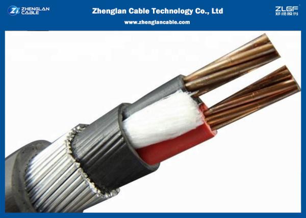 0.6/1KV Two Cores unarmoured XLPE Insulated Power Cables（CU/XLPE/LSZH/DSTA
