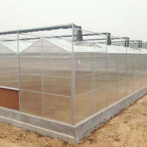 China Greenhouse Plastic Sheet/PC Sheet Greenhouse with Stable Structure and Vents wholesale