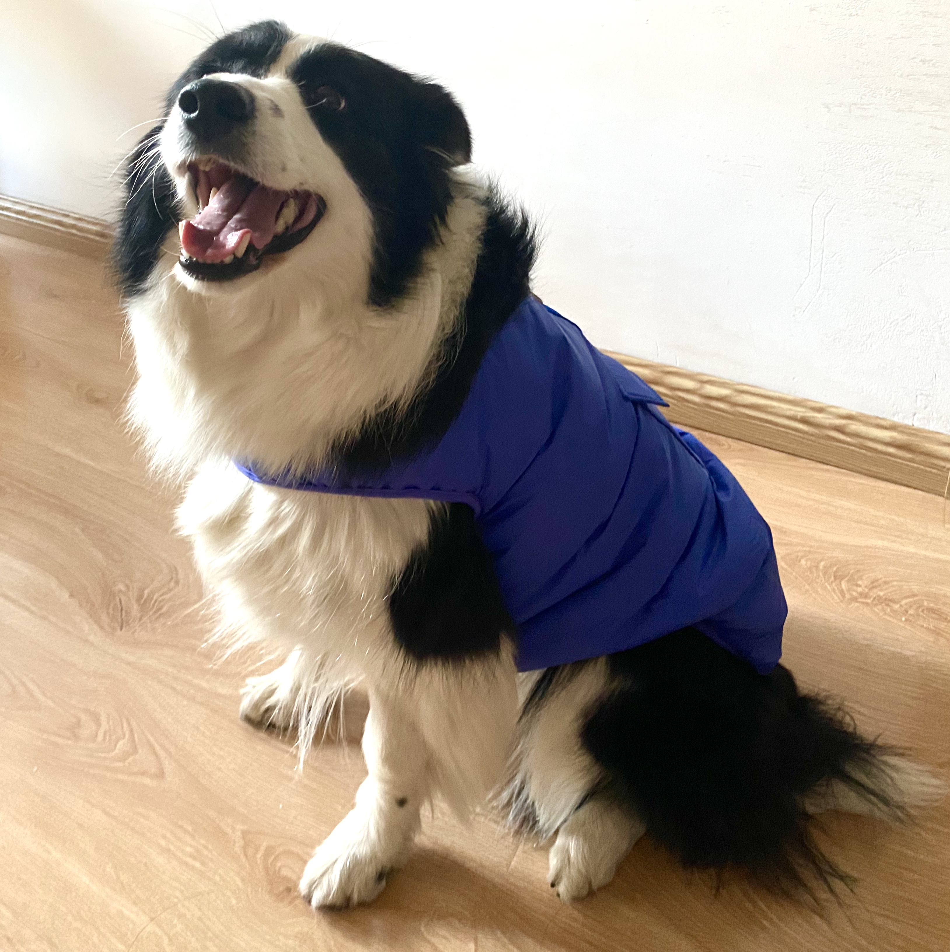 Dog Cotton Padded Jacket Winter Coat For Cat Cold Weather Coats Warm Vest For Pet Dog Clothes Outerwear