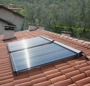 China Pressurized Solar Vacuum Tube Collector with Customized Request and Heat Pipe wholesale
