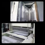 PA Hot Melt Adhesive Powder with Melt Flow Index30-50 (130°C/ 2.16KG g/ 10min)