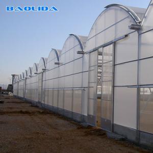 China Galvanised Walk In Multispan 5.3m Tunnel House Plastic Multi Span Greenhouse wholesale