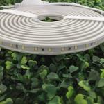 Waterproof Flexible Led Rope Light , 120V LED Tape Light SMD 2835 16.4 Ft 5M