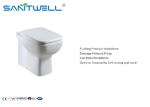 American market WC Wall Faced Toilet , P trap Washdown Dual Flush Two piece