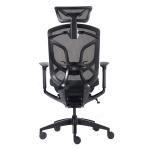 Bright Black Powder Coated Dvary Office Chair Breathable Mesh Ergonomic Manager