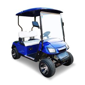 China 3KW 48V Electric 2 Seater Golf Cart Buggy Car Customizable wholesale